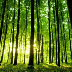 développement durable novelvy retraite